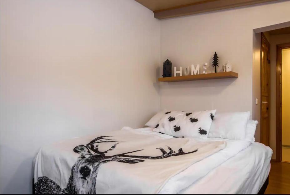 Great Location Downtown Studio Reykjavik Ngoại thất bức ảnh